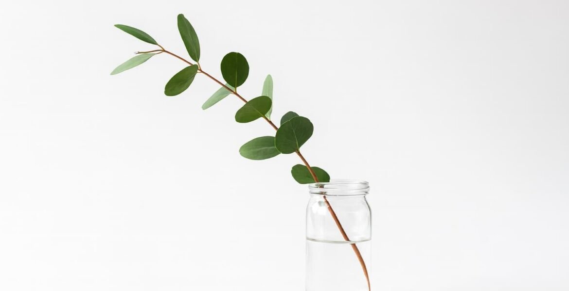 fotografía minimalista