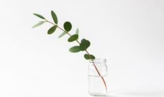 fotografía minimalista