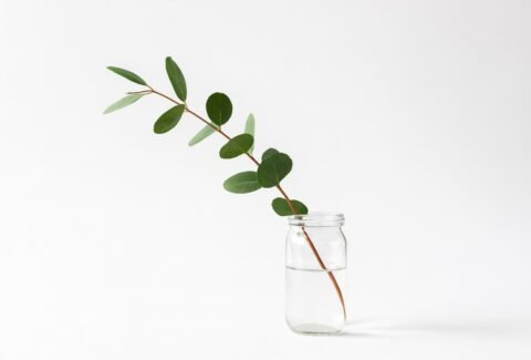 fotografía minimalista